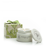 Seed to Skin The Massage Candle